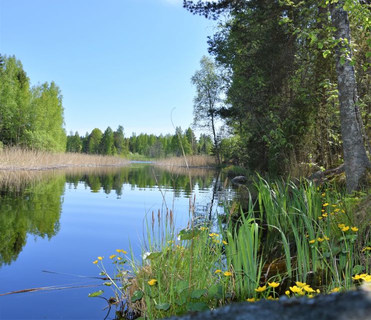 DSC_1429.JPG